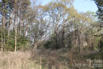Lot 16 Lake Front Drive, Catawba, NC 28609 - Photo 22