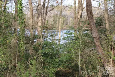 Lot 16 Lake Front Drive, Catawba, NC 28609 - Photo 12