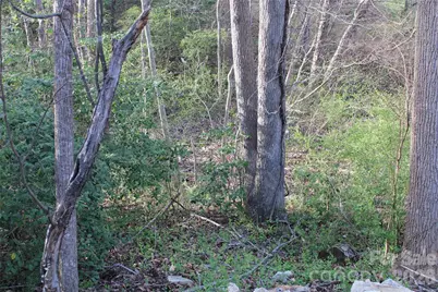 Lot 16 Lake Front Drive, Catawba, NC 28609 - Photo 34