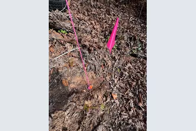 000 Hudlow Road #4, Forest City, NC 28043 - Photo 12