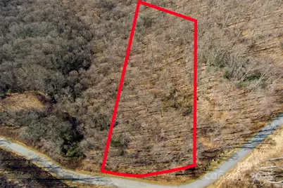 00 Summit View Drive, Canton, NC 28716 - Photo 10