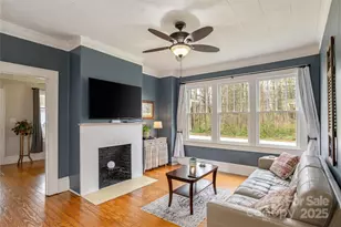 506 W Blue Ridge Rd, East Flat Rock, NC 28726 - Photo 6