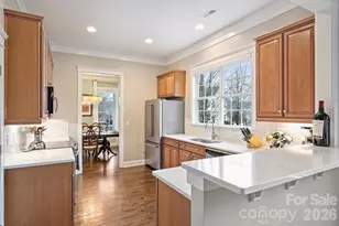 13721 Dutch Fork Dr, Huntersville, NC 28078 - Photo 18