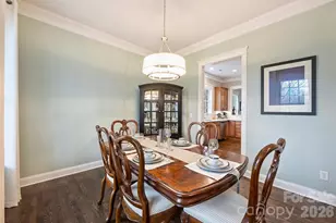 13721 Dutch Fork Dr, Huntersville, NC 28078 - Photo 10