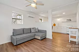 29 Alexander St, Black Mountain, NC 28711 - Photo 38