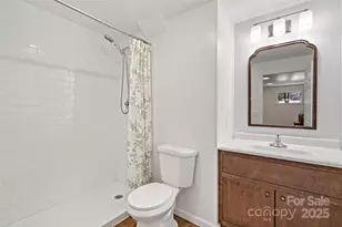 29 Alexander St, Black Mountain, NC 28711 - Photo 42