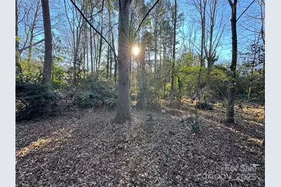 0000 Dogwood Lane #LOTS 4/5, Badin, NC 28009 - Photo 6