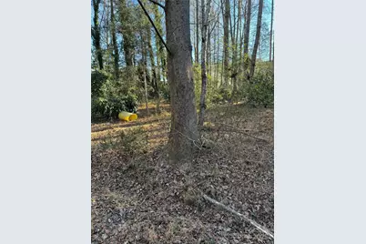 0000 Dogwood Lane #LOTS 4/5, Badin, NC 28009 - Photo 4