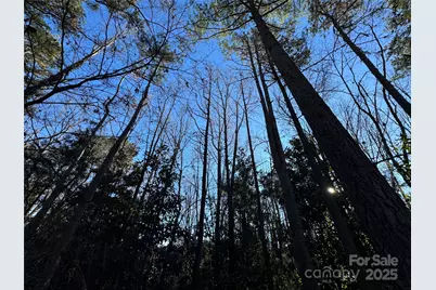 0000 Dogwood Lane #LOTS 4/5, Badin, NC 28009 - Photo 8