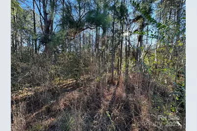 0000 Dogwood Lane #LOTS 4/5, Badin, NC 28009 - Photo 10
