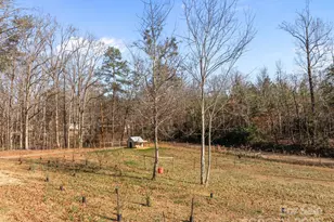 247 Aden Green Rd, Mill Spring, NC 28756 - Photo 40