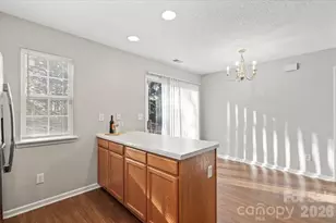 15070 Deshler Ct, Charlotte, NC 28273 - Photo 12