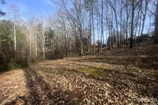 11443 Mooresville Rd, Davidson, NC 28036 - Photo 20