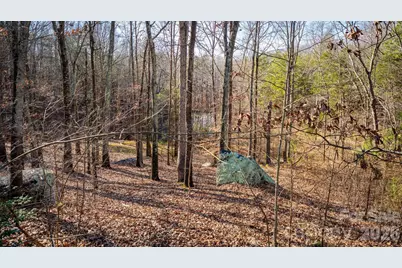 11443 Mooresville Road, Davidson, NC 28036 - Photo 10