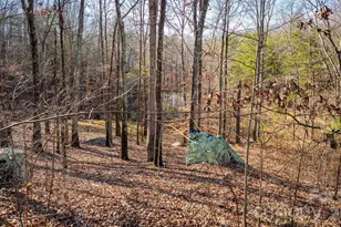 11443 Mooresville Rd, Davidson, NC 28036 - Photo 10