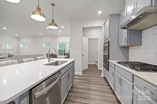 11040 Broadbent Ct, Charlotte, NC 28278 - Photo 10