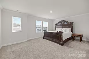 11040 Broadbent Ct, Charlotte, NC 28278 - Photo 16