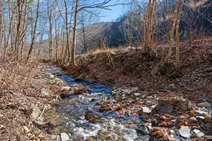 2850 Henson Creek Rd, Newland, NC 28657 - Photo 26