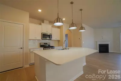 1411 Caracara Court, Belmont, NC 28012 - Photo 4