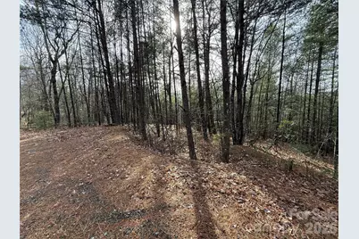 Tbd Buck Mountain Road #21, Purlear, NC 28665 - Photo 4