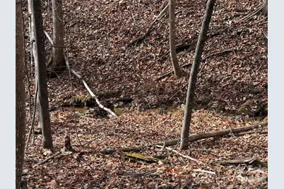 Tbd Buck Mountain Road #21, Purlear, NC 28665 - Photo 6