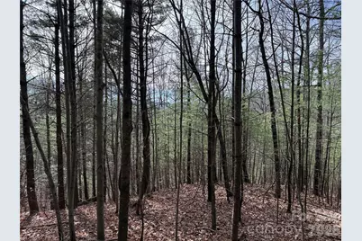 Tbd Buck Mountain Road #21, Purlear, NC 28665 - Photo 8