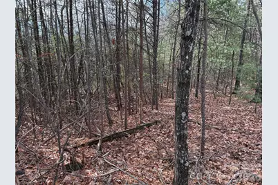 Tbd Bobcat Mountain Road #36, Purlear, NC 28665 - Photo 8