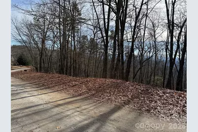 Tbd Bobcat Mountain Road #36, Purlear, NC 28665 - Photo 10