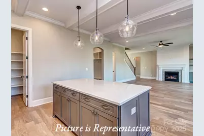 4238 Brushy Knoll, York, SC 29745 - Photo 20