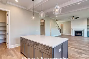 4238 Brushy Knoll, York, SC 29745 - Photo 20