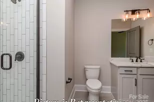 3981 Serenity Now Way, York, SC 29745 - Photo 32