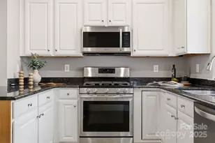 11334 Charlotte View Dr, Charlotte, NC 28277 - Photo 10