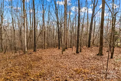 338 Piney Grove Road, Harmony, NC 28634 - Photo 8