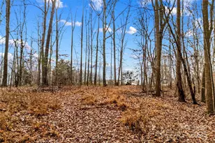 338 Piney Grove Rd, Harmony, NC 28634 - Photo 10