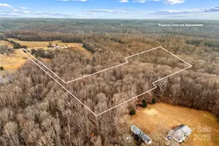 338 Piney Grove Rd, Harmony, NC 28634 - Photo 44