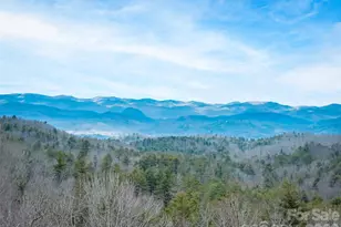78 Big Sky Rdg, Pisgah Forest, NC 28768 - Photo 2