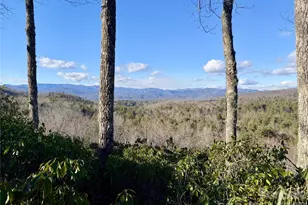 78 Big Sky Rdg, Pisgah Forest, NC 28768 - Photo 8