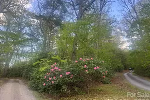 73 The Old Run Rd, Fairview, NC 28730 - Photo 24