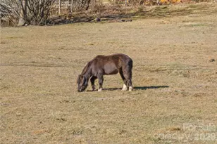 73 The Old Run Rd, Fairview, NC 28730 - Photo 40