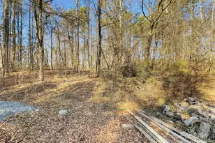 3215 Shadybark Trail, Catawba, SC 29704 - Photo 32