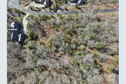 555 Stonefly Drive #145, Mills River, NC 28759 - Photo 2