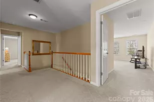 8820 Nellie Lane, Waxhaw, NC 28173 - Photo 24