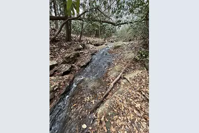 000 Lytle Cove Road, Swannanoa, NC 28778 - Photo 32