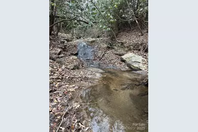 000 Lytle Cove Road, Swannanoa, NC 28778 - Photo 12