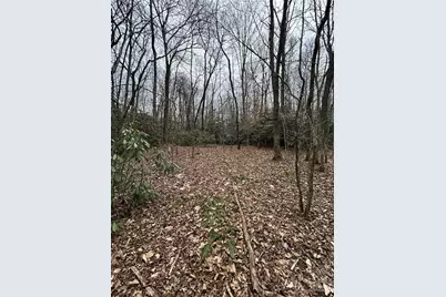 000 Lytle Cove Road, Swannanoa, NC 28778 - Photo 8