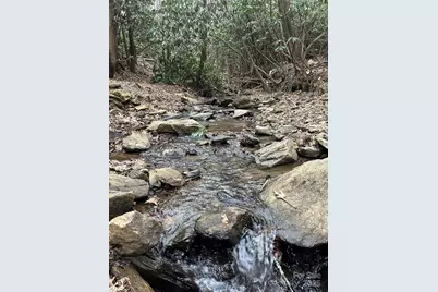 000 Lytle Cove Road, Swannanoa, NC 28778 - Photo 34