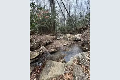 000 Lytle Cove Road, Swannanoa, NC 28778 - Photo 30