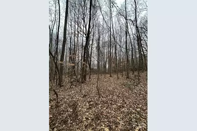 000 Lytle Cove Road, Swannanoa, NC 28778 - Photo 20