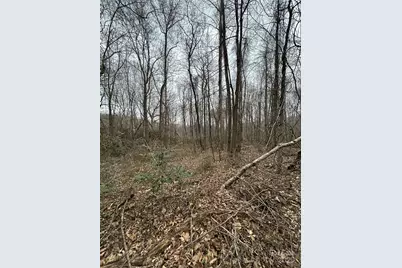 000 Lytle Cove Road, Swannanoa, NC 28778 - Photo 22