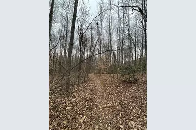 000 Lytle Cove Road, Swannanoa, NC 28778 - Photo 24